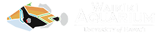 Waikīkī Aquarium